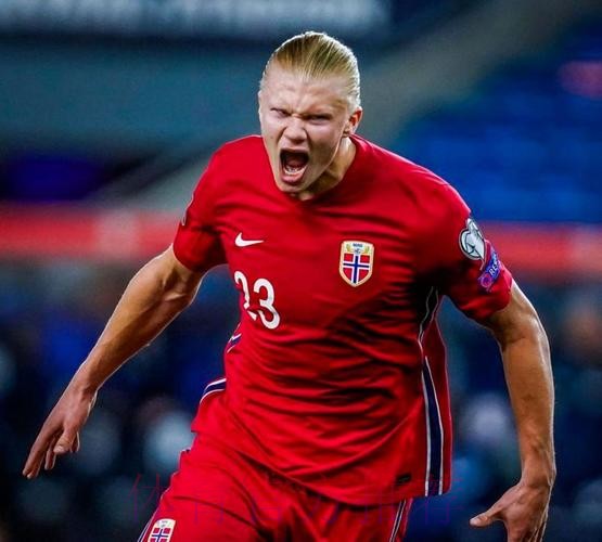 2026世界杯葡萄牙哈兰德比赛解读深度解读